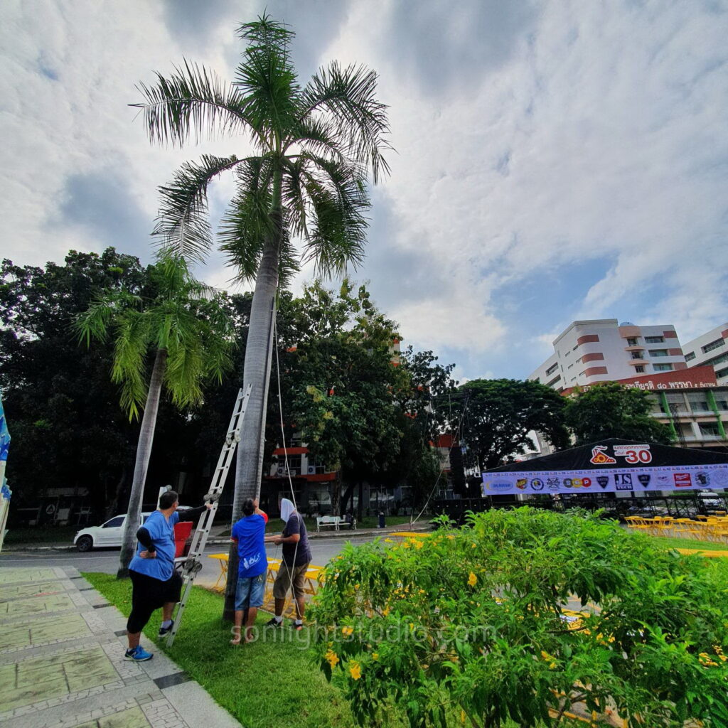 เช่าไฟปิงปอง 150 เมตร จาก Sonlight Studio